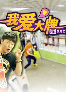 我爱大牌封面图