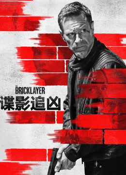 谍影追凶 普通话封面图