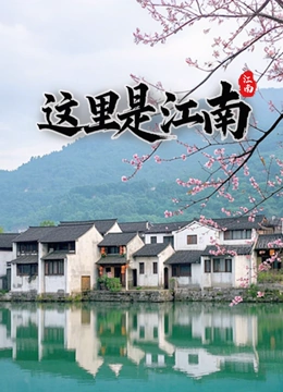 这里是江南封面图