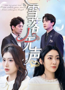 雪落无声封面图