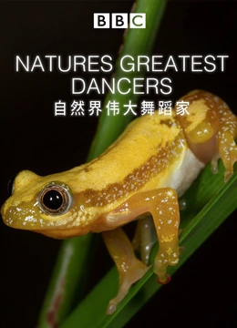自然界伟大的舞蹈家封面图