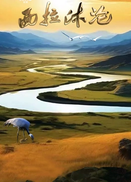 西拉沐沦封面图