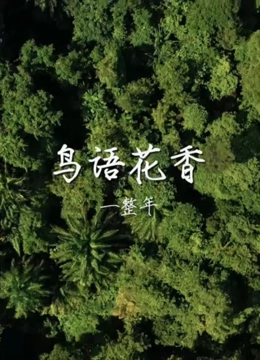 鸟语花香一整年封面图