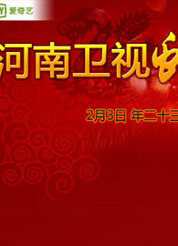 河南卫视2013春晚封面图
