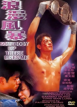 浪漫风暴1996封面图