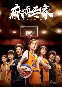 麻烦专家封面图
