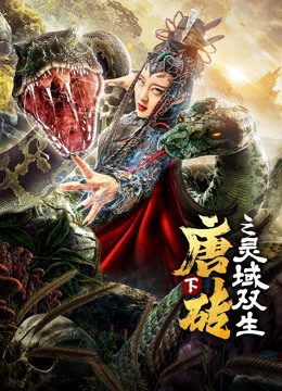 唐砖下灵域双生封面图