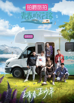 青春的花路封面图