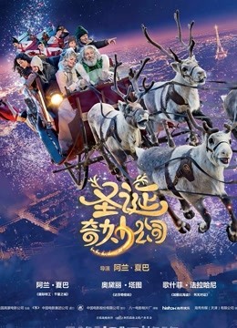 圣诞奇妙公司封面图