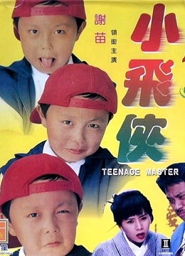 小飞侠1995封面图