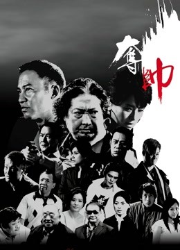 夺帅封面图