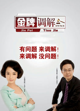 金牌调解封面图