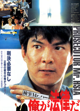 执法先锋 粤语版封面图