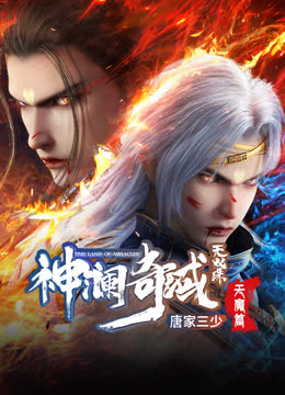 神澜奇域无双珠封面图