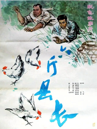 六斤县长封面图