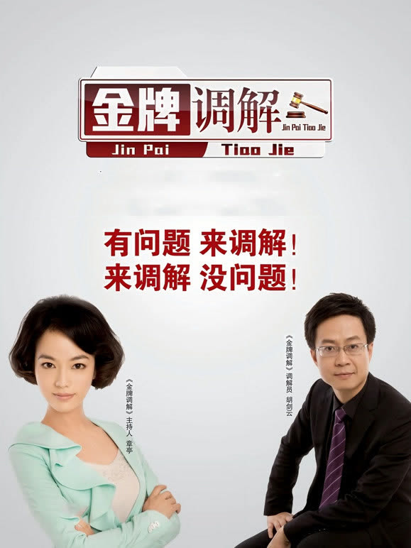 金牌调解封面图