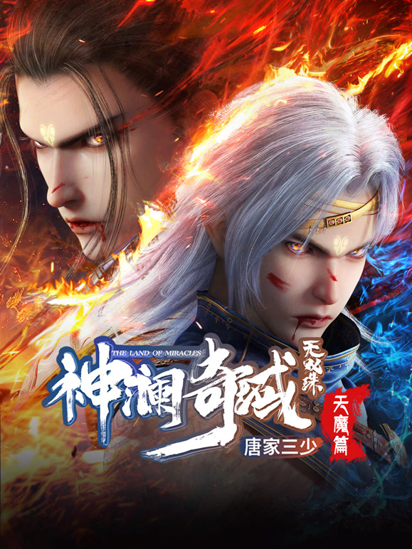 神澜奇域无双珠封面图