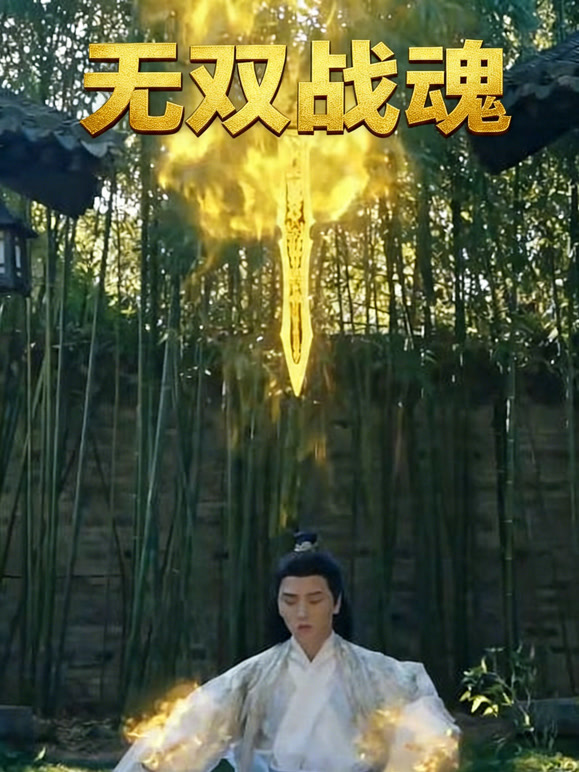 无双战魂封面图