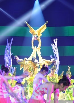 2017湖北卫视春晚封面图