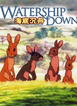 海底沉舟封面图