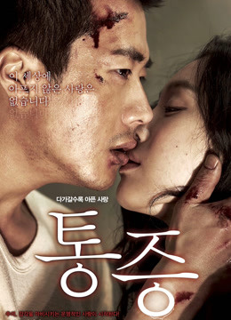 痛症2011封面图