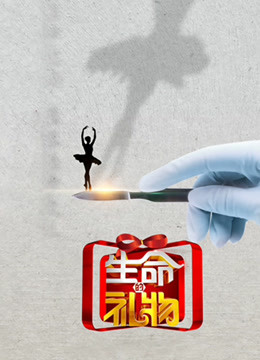 生命缘:生命的礼物 第三季封面图