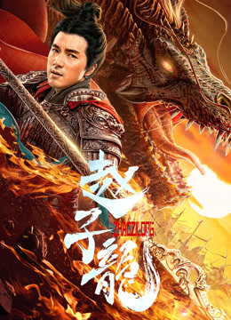 赵子龙封面图