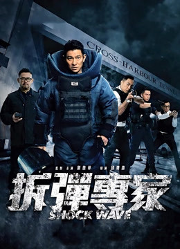 拆弹专家粤语封面图