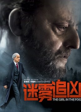 迷雾追凶封面图