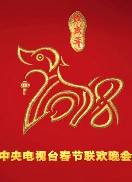 2018央视春晚封面图