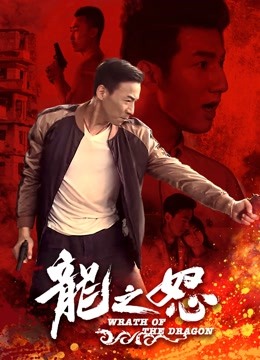 龙之怒封面图