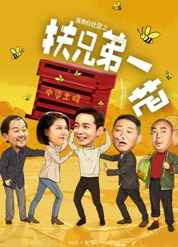 我来自北京之扶兄弟一把封面图