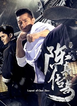 陈真传奇封面图
