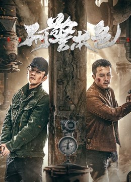 刑警本色封面图