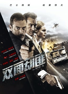 双面劫匪封面图