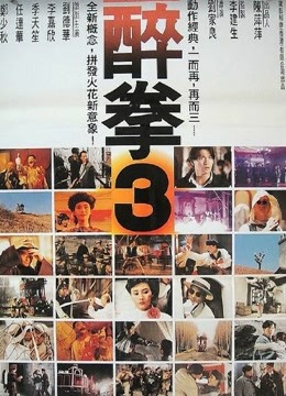 醉拳3粤语封面图