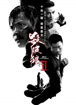 杀破狼2封面图