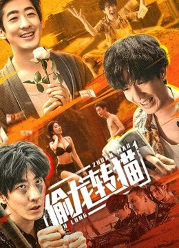 偷龙转猫封面图