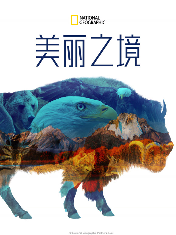 美丽之境封面图