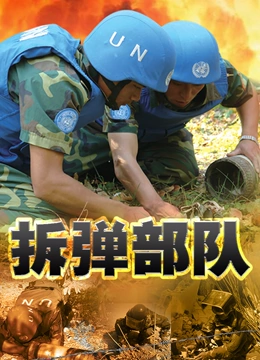 拆弹部队封面图