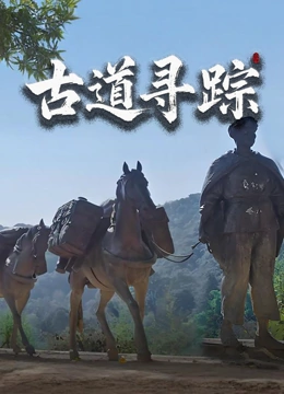 古道寻踪封面图