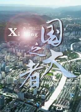 国之大者封面图