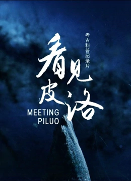 看见皮洛封面图