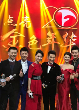 安徽卫视上星二十周年庆典晚会封面图