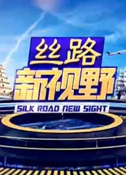 丝路新视野封面图