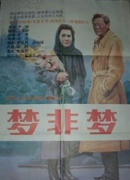 梦非梦封面图