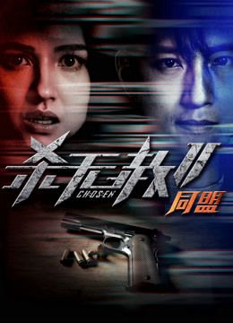 杀无赦2:Ⅱ同盟封面图