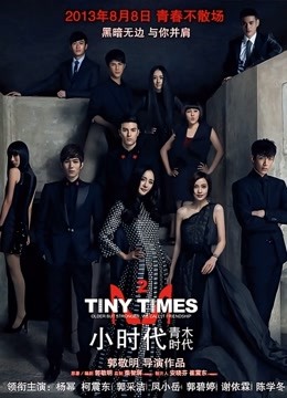 小时代2:青木时代封面图