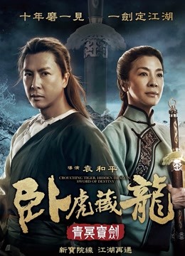 卧虎藏龙:青冥宝剑封面图
