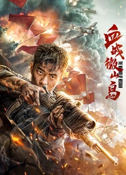 血战微山岛封面图